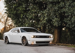 Killer Bee: Slammed Wide Body Challenger | DrivingLine