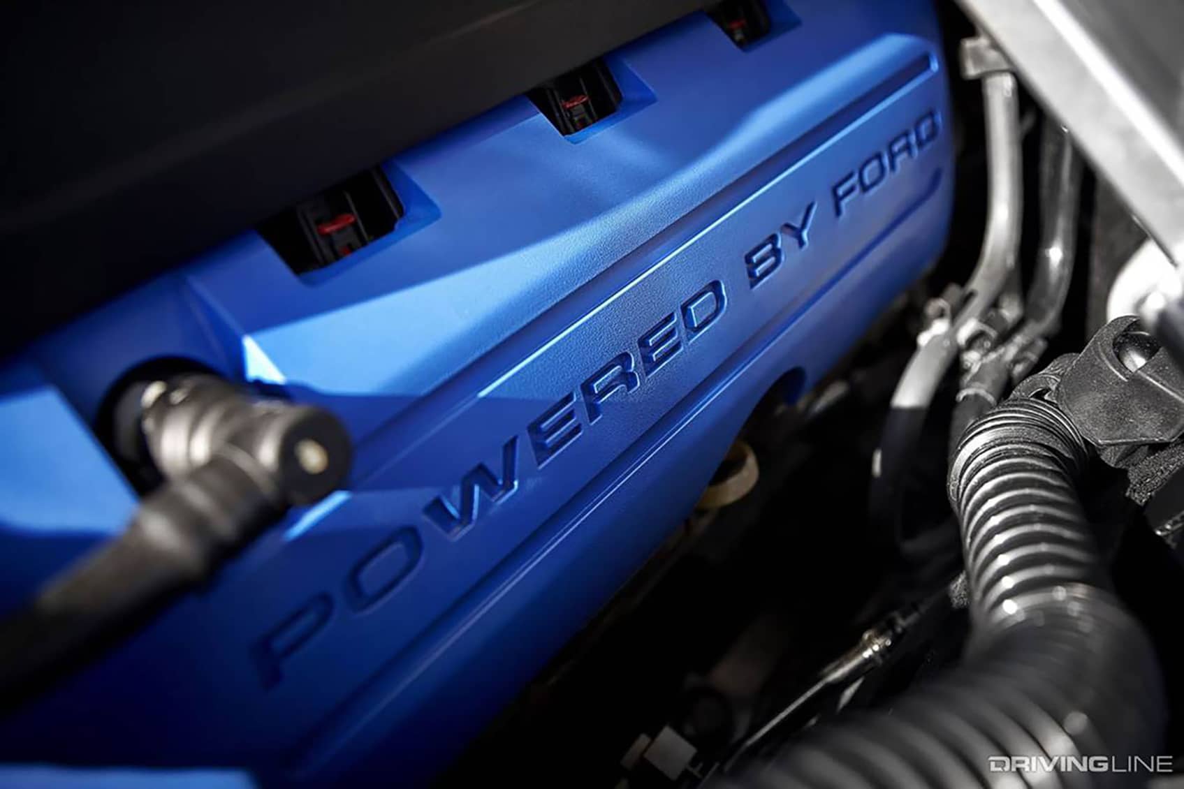 V8 or Turbo? Ford's 3.5 EcoBoost V6 vs 5.0 Coyote for Horsepower, Value